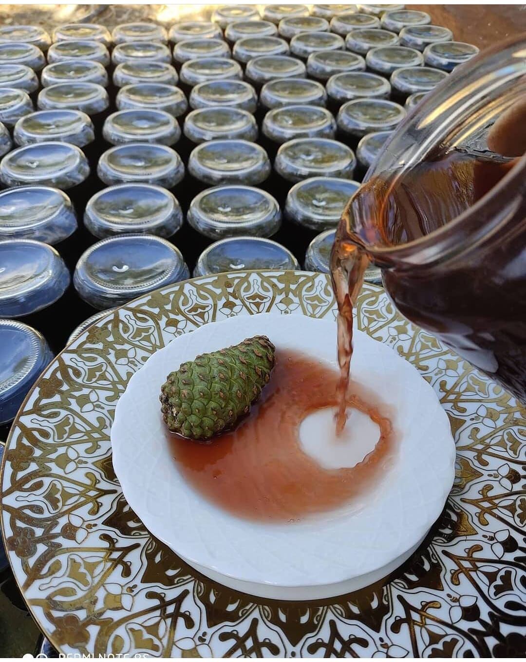 KOZALAK ŞURUBU