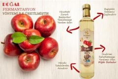 Elma Sirkesi 500 ml