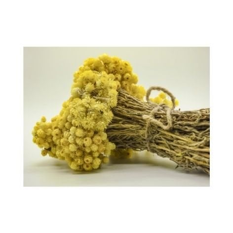 Ölmez ÇİÇEK (Altın Otu) Demet